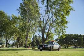 Facilities at santa fe are operated by los angeles county parks. Santa Fe Dam Recreation Area Redaktionelles Stockbild Bild Von Angeles Outdoor 89483749