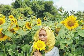 Cewek berhijab cantik selfie di tempat wisata. 8 Taman Bunga Cantik Di Indonesia Ini Instagramable Banget