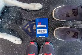 Dogs must be at least 8 weeks old when traveling within the u.s. How To Fly Internationally With A Dog Long Haul Trekkers