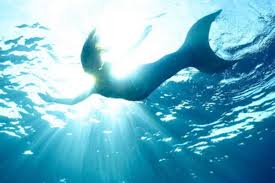 Image result for real mermaid