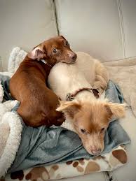 7 years ago today. Sure do miss you Peggy Denson! 🤗