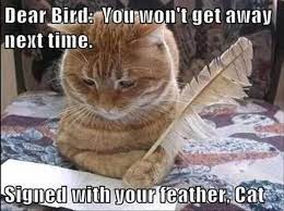 Gateway to another purrfect caturday (27 cat memes). 20 Cat Memes For A Much Better Caturday I Can Has Cheezburger