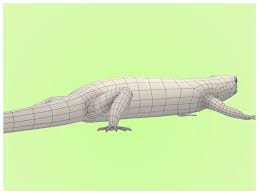 Pin On Lizard Topology