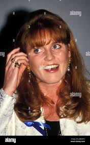 Sarah kelly hi-res stock photography and images