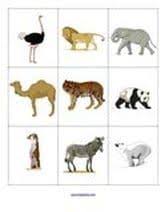 Zoo Animals Lotto Matching Game Zoo Activities Zoo Animal Theme Zoo Animals
