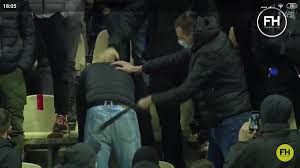 Дикая зоря, растение ptarmica vulgaris, гулявица, кровавник, чихотная. Zorya Hashtag On Twitter