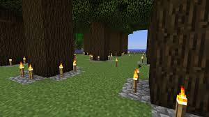 Dark Oak In Minecraft