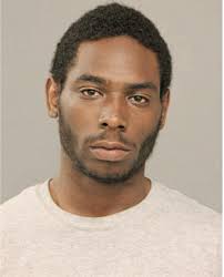 ᐅ Illinois Criminal Records 2009-2025