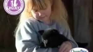Halidan Koltuktan Kedi Kopek Idrar Cis Kokusu Nasil Cikar
