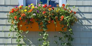 Square flower boxes can be gifted for birthdays, anniversaries, weddings, graduations, retirements and for. Window Boxes Best Flowers Plants Care Tips And Styling Ideas