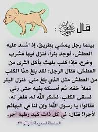 pin on الرفق