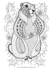 Students will practice addition and subtraction within 20 with the resource! Groundhog Day Coloring Pages Free Printable Pdf From Primarygames