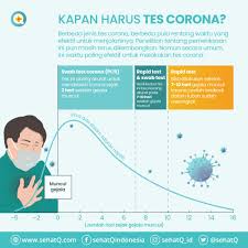 Swab Test Corona Fungsi Prosedur Dan Hasil