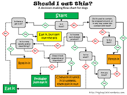 should i eat this a flowchart for dogs my dog said