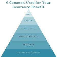 Term Life Insurance How It Works