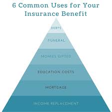 term life insurance how it works