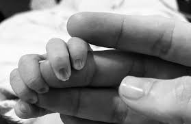 Barbara was born on may 31st in vancouver, british columbia, usa. Barbara Lee Edwards Barbaraleenews8 Twitter