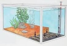 Image result for undergravel filtration substrate