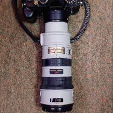 Nikon 70-200mm f2.8 小灰五x Nikon ZF | Chan'Blog 遊攝天下解讀博文