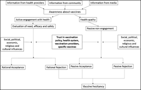 Public Trust In Vaccination An Analytical Framework