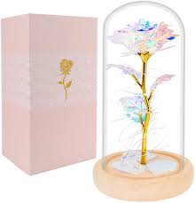 Amazon Com Beferr Beauty And The Beast Rose Enchanted Flower With Led Light In Glass Dome For Christmas Valentine S Day Mother S Day Birthday Best Gifts For Girlfriend Wife Women Her Colorful