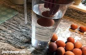 how to tell if eggs are fresh