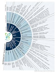 A Visual Representation Of The Taxonomy Of Functions Used To Organize Strategy Information On Asknature Taxonomy Ask Nature Urban Landscape