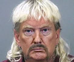 Check spelling or type a new query. During A Press Conference About The Pandemic President Donald Trump Considers Pardoning Joe Exotic Is The Single Most 2020 Headline Ever Foolish Watcher