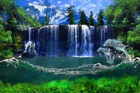 Https Encrypted Tbn0 Gstatic Com Images Q Tbn And9gcskuxiuxnn5qwonwdnea7mozwvpsb8ar20nrg Usqp Cau