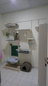Cat Wall From Ikea Algot Series Ikeahack Catwall Ikea Algot Flooring On Walls Drapery Designs