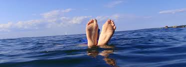 Wood neck beach ligger i falmouth. Beaches Falmouth Visitor