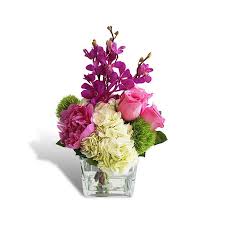 Check spelling or type a new query. Buy Touch Of Tropics By Driftwood Florist