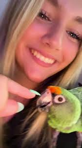 chillin with pipers bird🥝