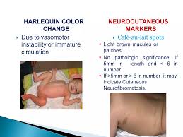 Image result for Harlequin Color Change
