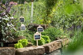 Wetterfeste Pflanzenschilder Fur Den Garten Pflanzenschilder Pflanzen Garten