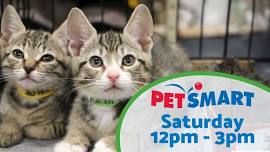 DOG and CAT Adoption Event at PetSmart in Alexandria