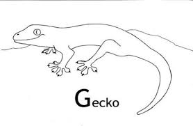 Free printable leopard coloring pages for kids. Gecko Coloring Pages Animal Coloring Pages Animals Emoji Coloring Pages Dragon Coloring Page