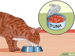 Maybe you would like to learn more about one of these? 3 Ways To Choose Cat Treats Wikihow
