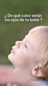 ¿ De qué color serán los ojos de tu bebé ? , Basado en evidencia científica  👶🏻🧬🤍, Recuerda que es estimación NO regla , ya que hay muchos genes y  factores hereditarios involucrados en este proceso 🧬, ...