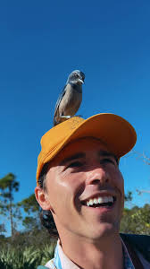 Immerse your family in the environment of the Indian River Lagoon