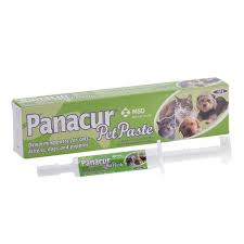 Dogs over six months of age should be dewormed at. Panacur Pet Paste 4 8g Pet Plus