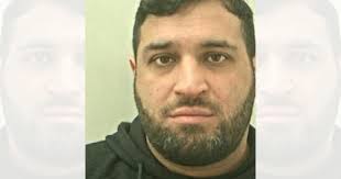 Man driving too fast crashed into horses