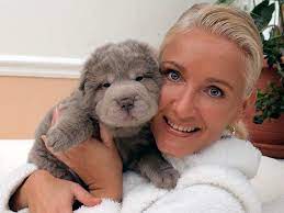 Photo Scottjarvis Puppy Arcade 11 Images Poodle Puppy Shar Pei Puppies Bear Coat Shar Pei