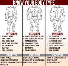 Pin By Myokem On Bodybuilding Workout Tips Best Workout Routine Body Types Fun Workouts