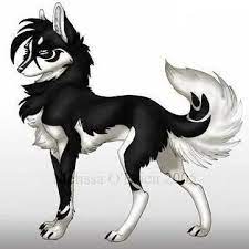 White wolf anime black wolf. Anime Black Wolf White Wolf Novocom Top