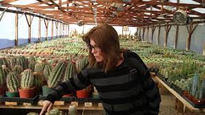 First of all, i had no idea i would find the perfect car, that was suitable for me, that day i stopped at cactus auto, on prince rd! Anda Checks Out All The Cactus Picture Of B B Cactus Farm Tucson Tripadvisor