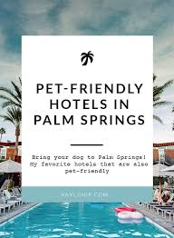 The Best Pet Friendly Hotels In Palm Springs Kaylchip Palm Springs Hotels Palm Springs California Travel Pet Friendly Hotels