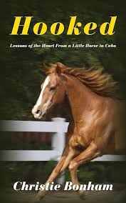 Hooked: Lessons of the Heart From a Little Horse in Cabo: Bonham, Christie:  9781733451307: Amazon.com: Books