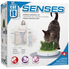 the catit senses grass garden kit gives you the means to grow a controlled amount of grass indoors for your cat to nibble on cat grass grass pets