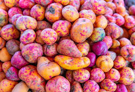 Todo sobre el olluco o melloco 【propiedades, beneficios, recetas, usos, imagenes, recomendaciones y más 】aquí tendrás toda la información que necesitas. Las 88 Mejores Imagenes Fotos De Archivo Y Vectores De Olluco Adobe Stock